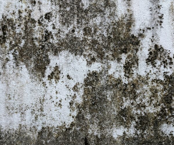 What to Do If a Florida Seller Fails to Disclose a Major Property Defect